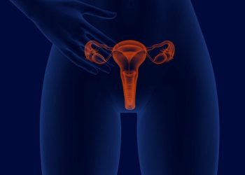 Transvaginal Pelvic Ultrasound Scan