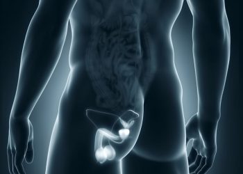 Scrotum Testicle Hernia Scan London