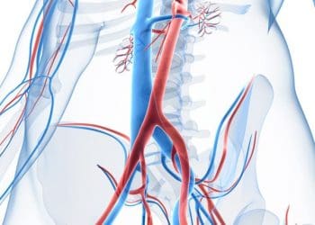 Vascular Arterial Doppler Scan London