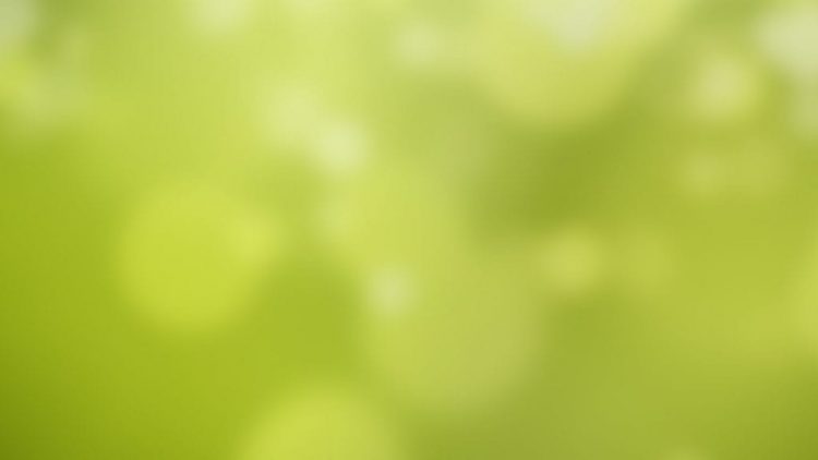 roche antibody test